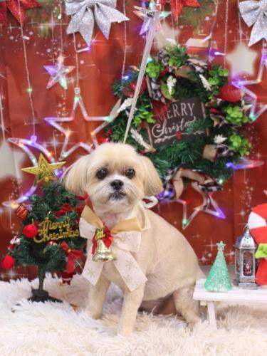 20231230ラルクくん